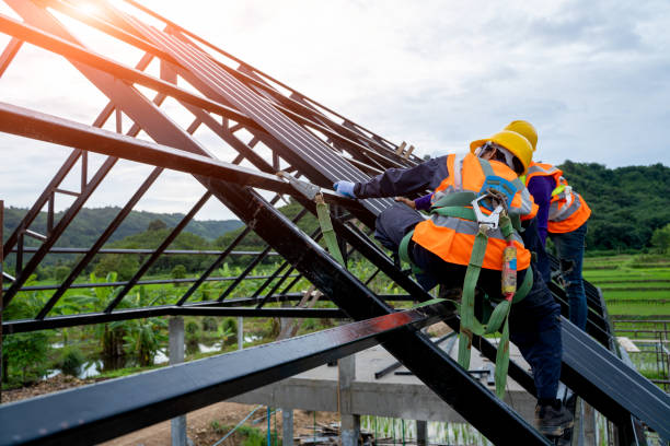 Best Gutter Installation and Roofing  in Woodland Park, NE